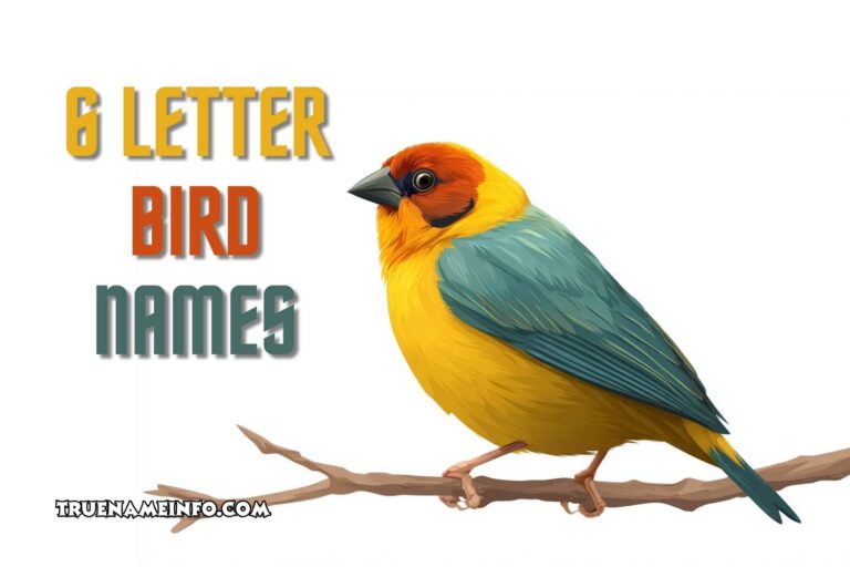 6 letter bird names