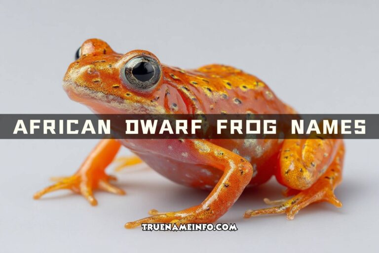 african dwarf frog names