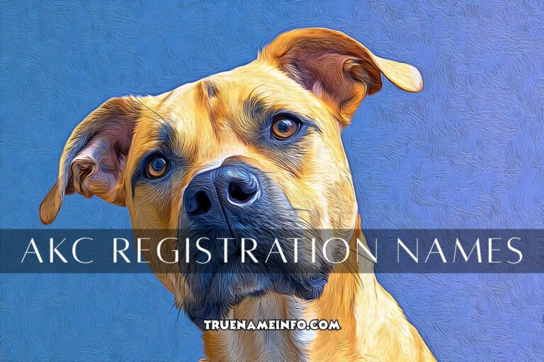akc registration names