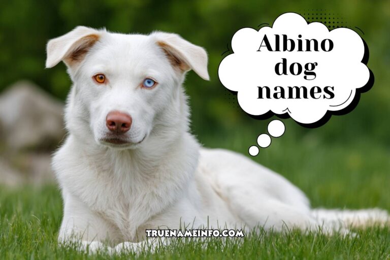 albino dog names