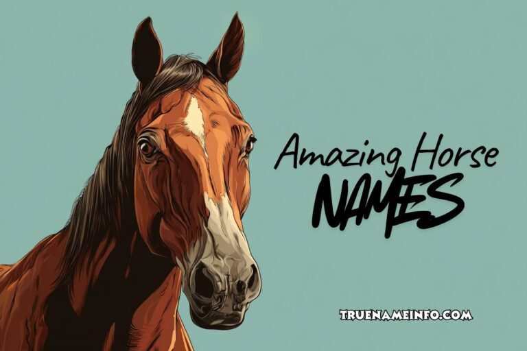 amazing horse names