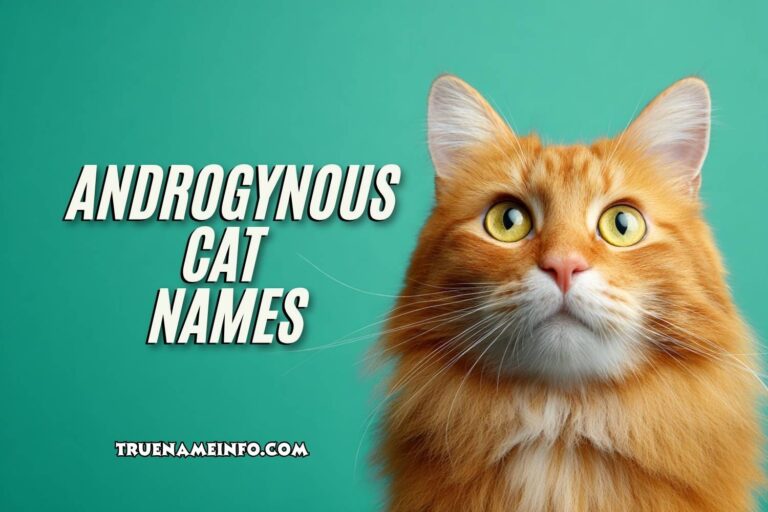 androgynous cat names