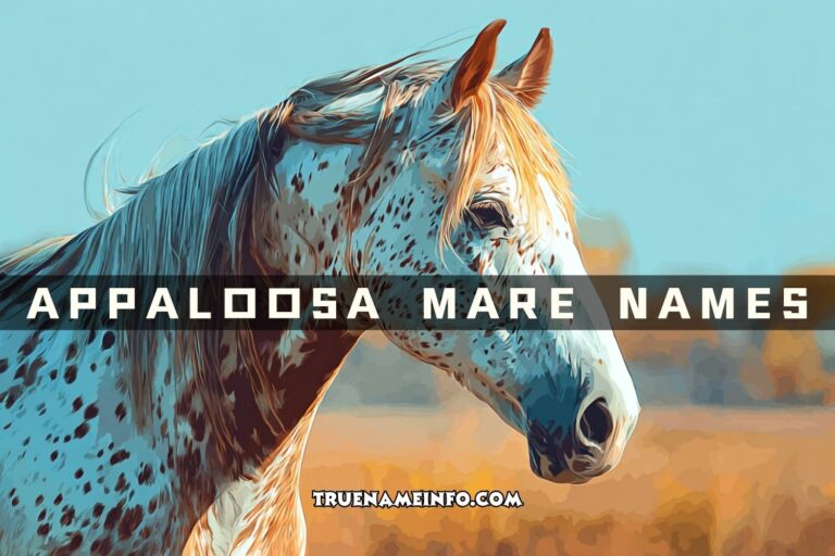 appaloosa mare names