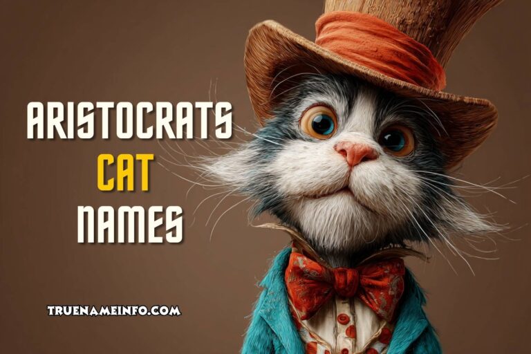 aristocrats cat names