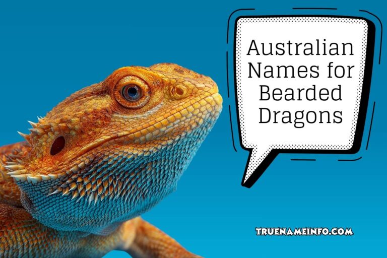 australian names for bearded dragons