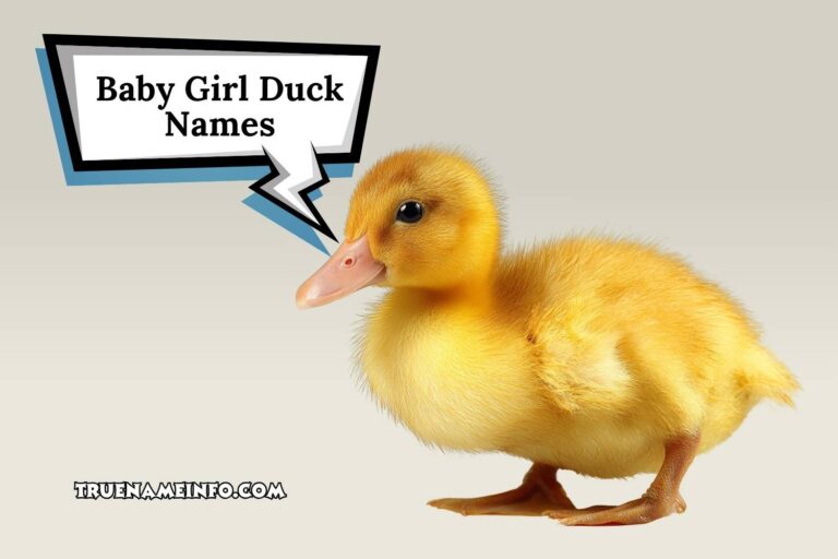 baby girl duck names