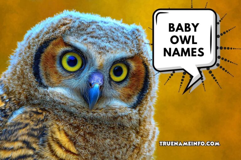 baby owl names