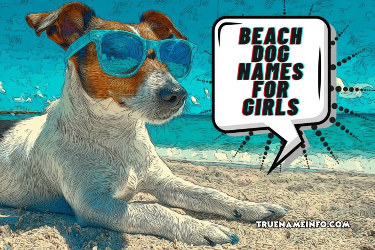 beach dog names for girls