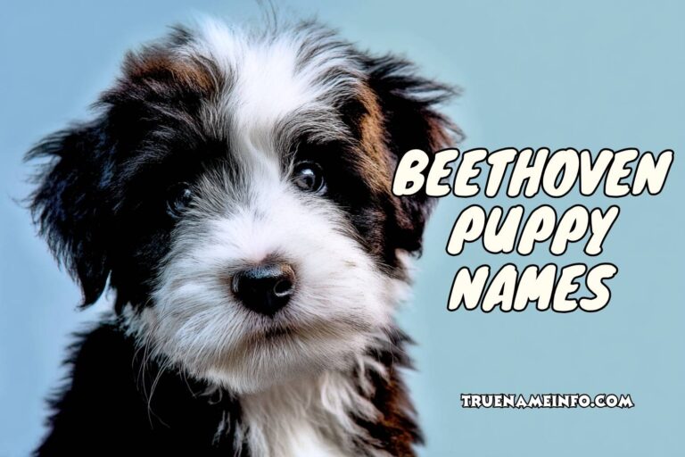beethoven puppy names
