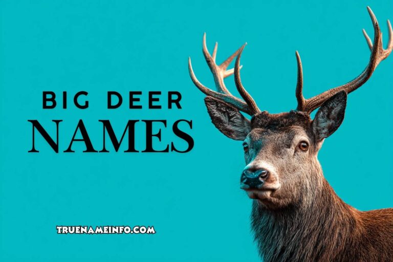 big deer names