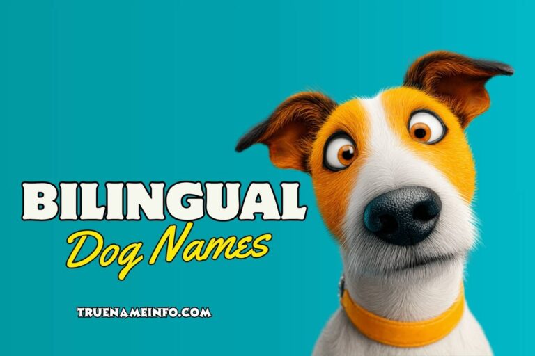 bilingual dog names