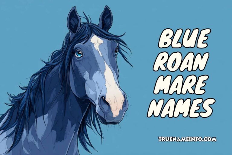 blue roan mare names