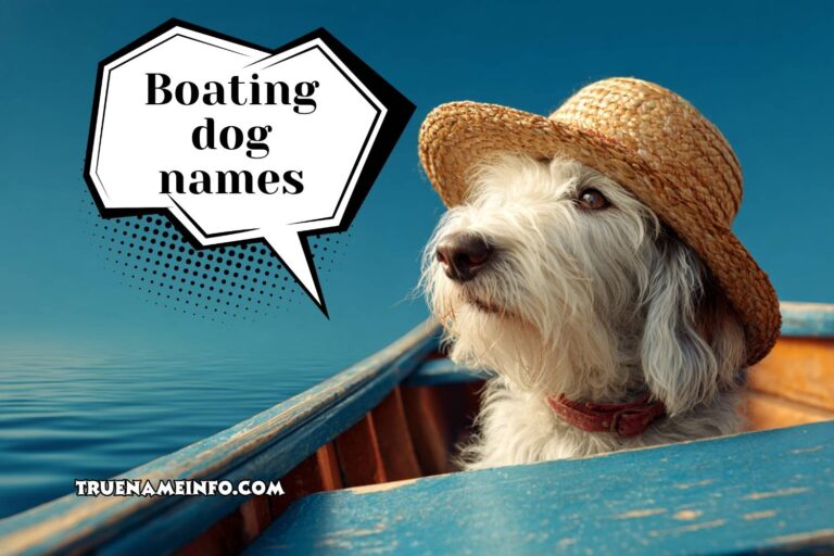 boating dog names