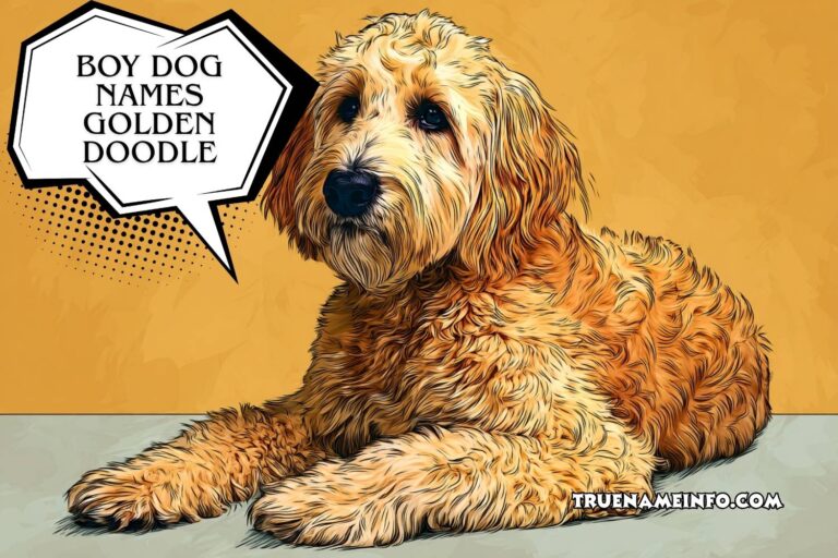 boy dog names goldendoodle