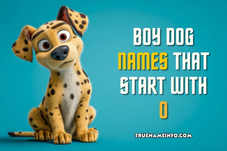 boy dog names that start with o