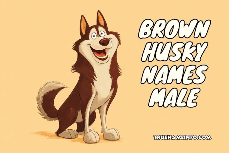 brown husky names male
