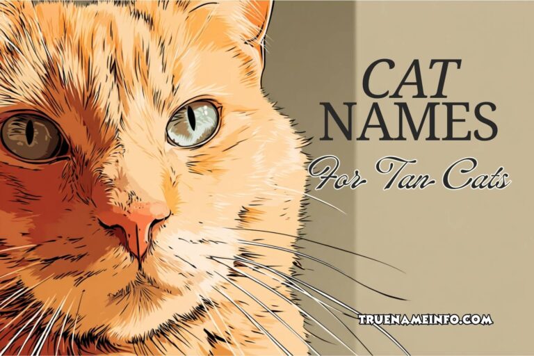 cat names for tan cats