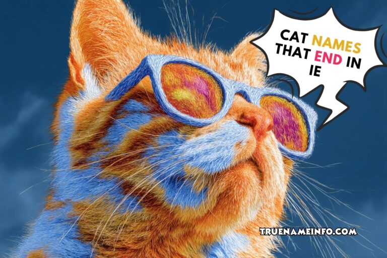 cat names that end in ie