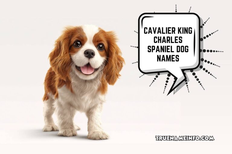 cavalier king charles spaniel dog names