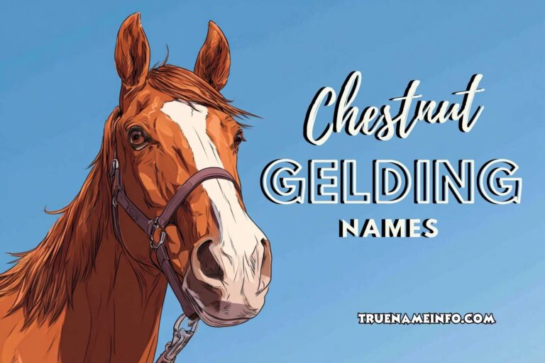 chestnut gelding names