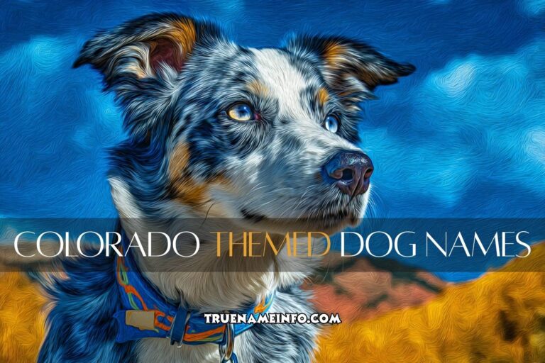 colorado themed dog names