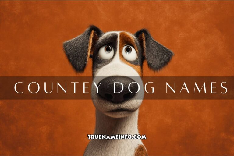 countey dog names