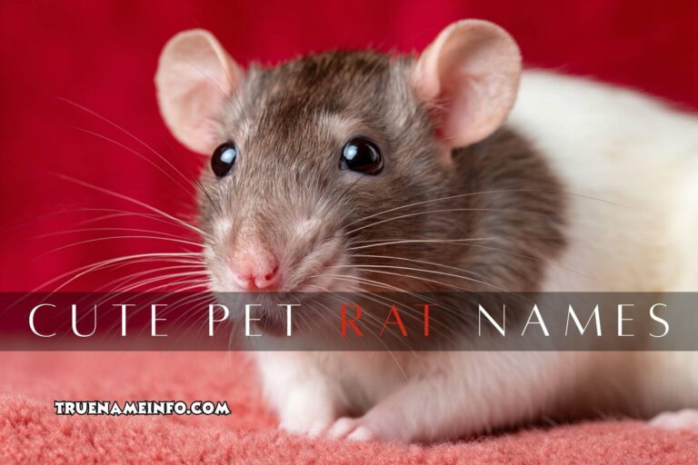 cute pet rat names