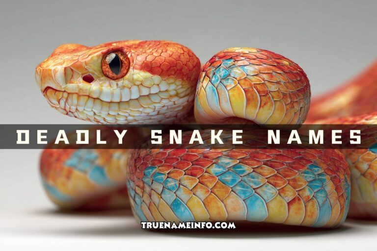 deadly snake names