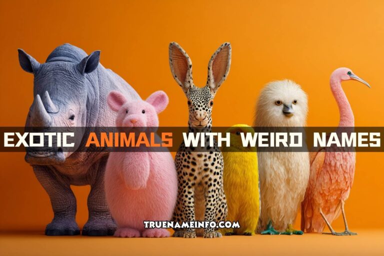 exotic animals with weird names