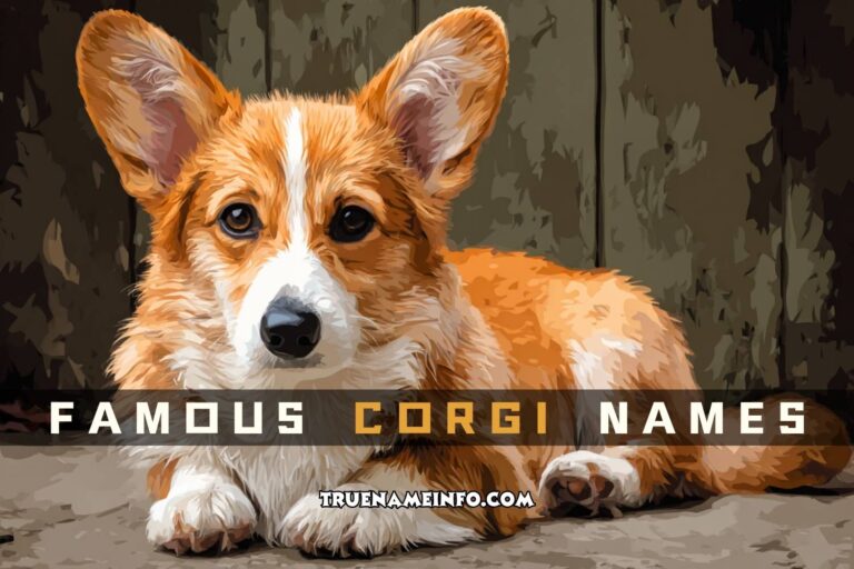 famous corgi names