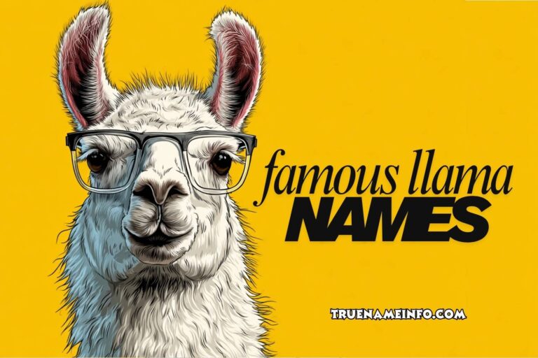 famous llama names