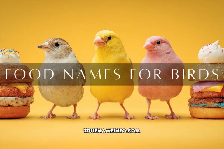 food names for birds