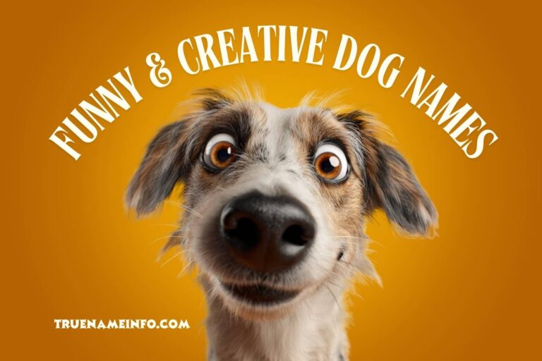 funny & Creative dog names