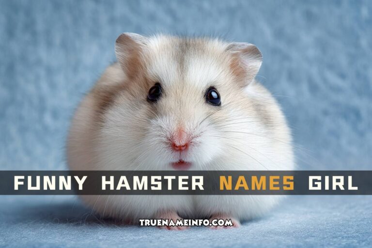 funny hamster names girl