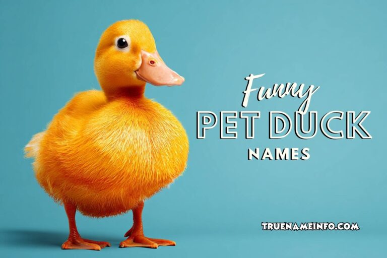 funny pet duck names