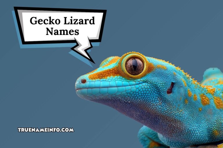 gecko lizard names