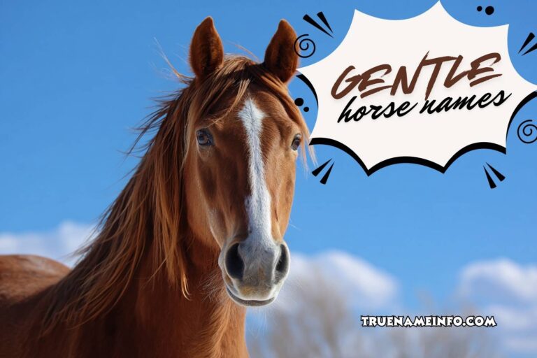 gentle horse names