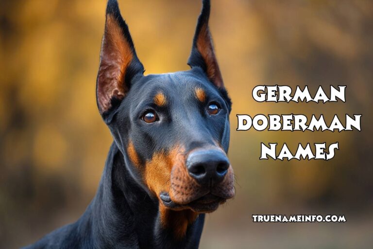 german doberman names