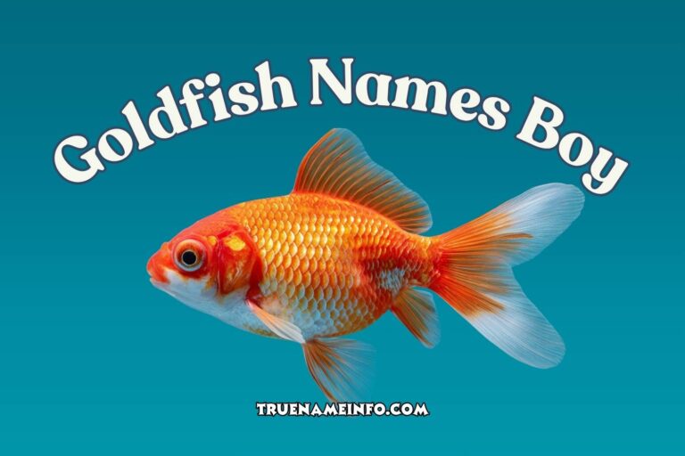 goldfish names boy