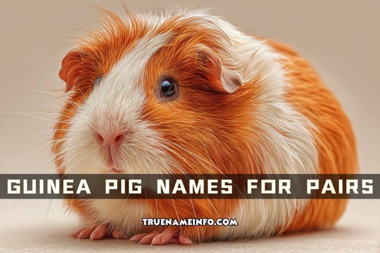 guinea pig names for pairs