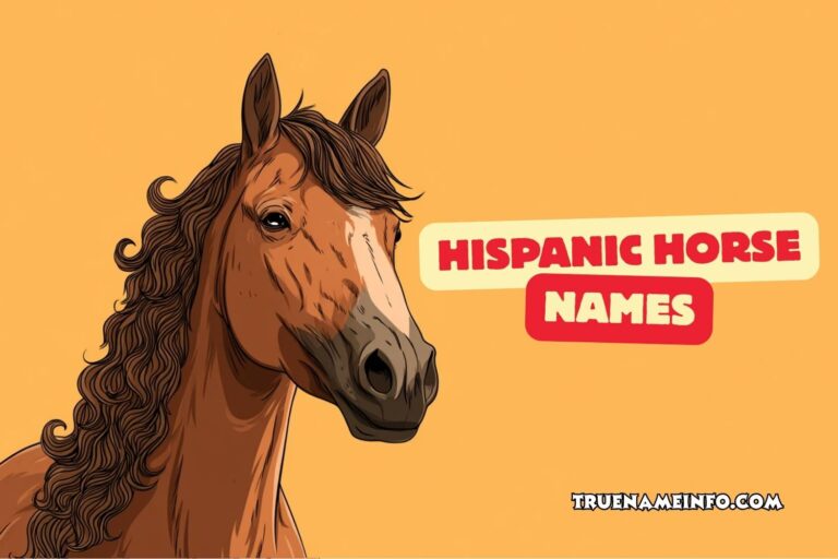 hispanic horse names