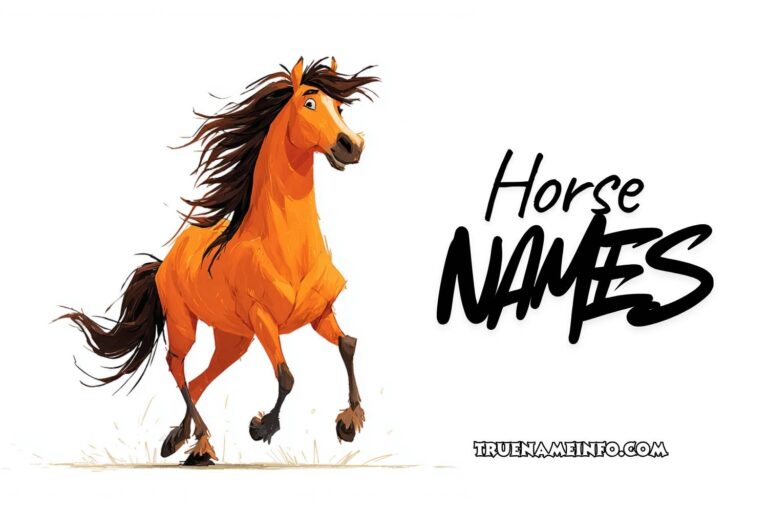 horse names