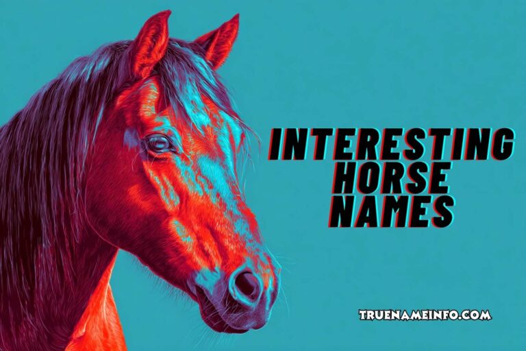 interesting horse names