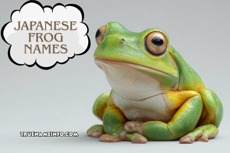 japanese frog names