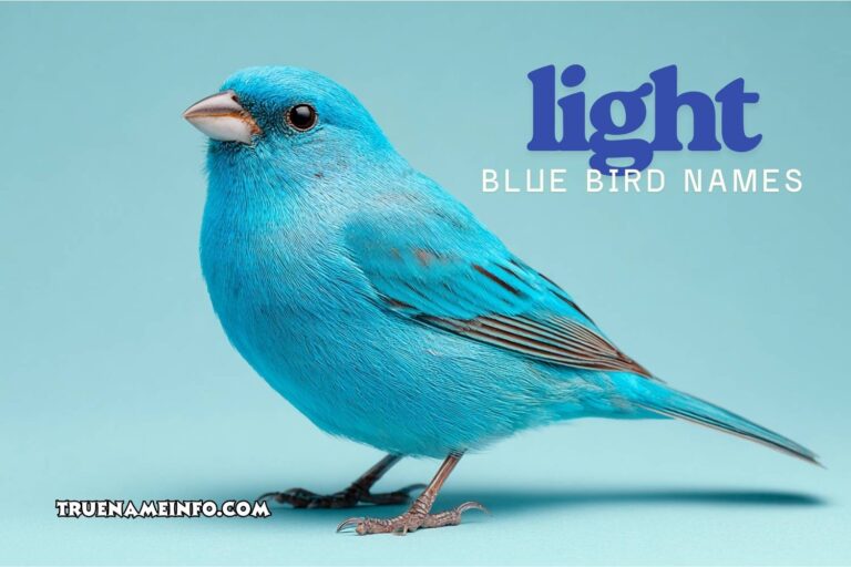 light blue bird names