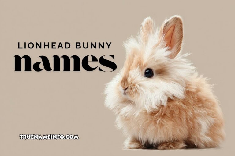 lionhead bunny names