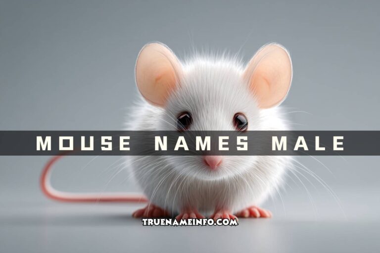 mouse names male