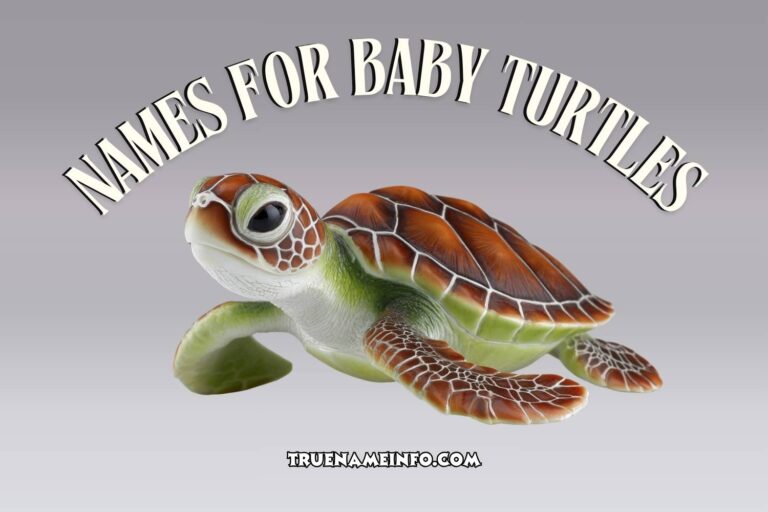 names for baby turtles