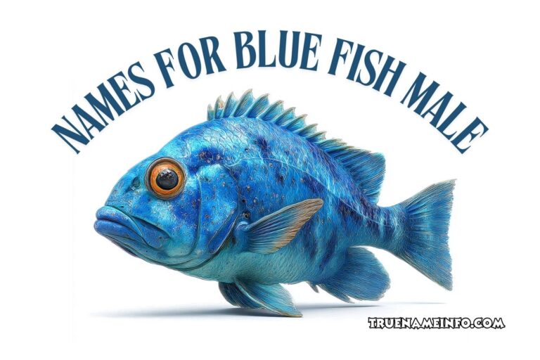 names for blue fish male