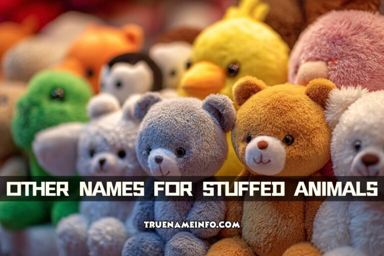 other names for stuffed animals